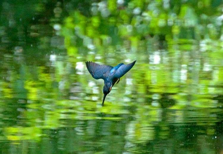 初めて受診される方へ